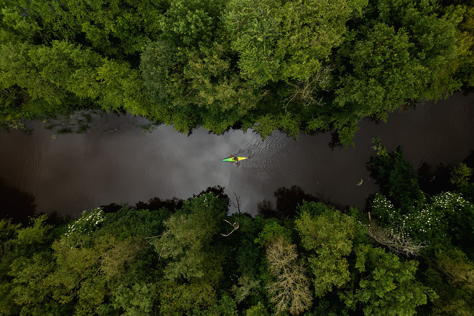 5x onontdekte natuurgebieden in Drenthe