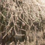 winterkamperen Drenthe