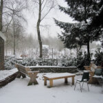 Winter Drenthe