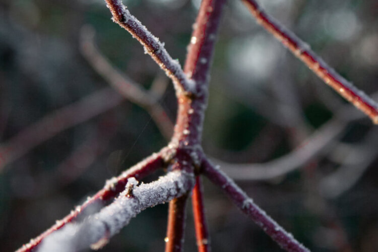 winterkamperen Drenthe